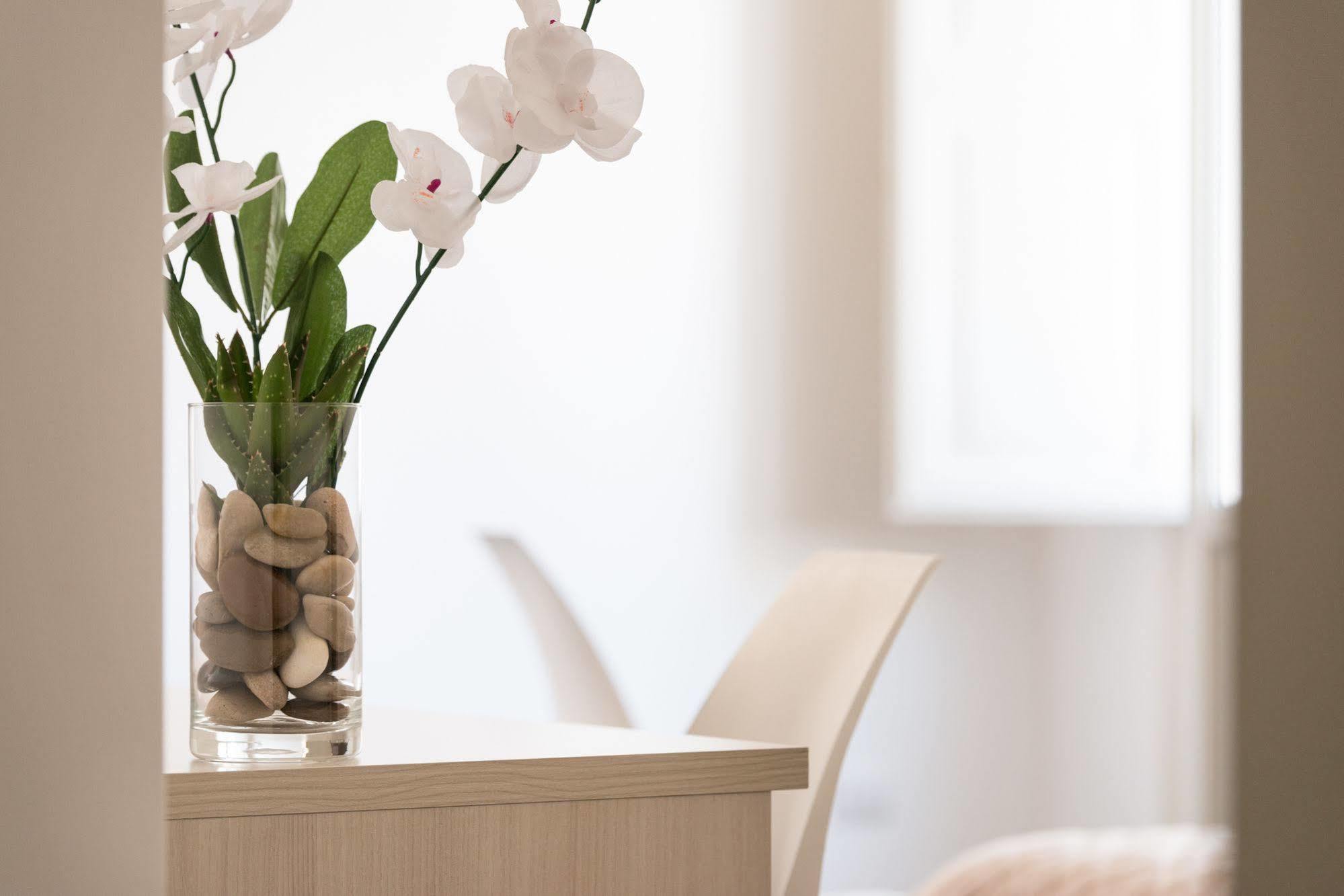 Bed and Breakfast Gatto Bianco La Dimora Storica Lecce Zewnętrze zdjęcie